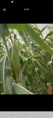 Screenshot 20260316 120623 facebook