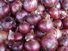 Russet