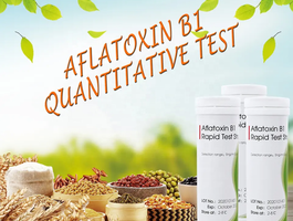 Aflatoxin test kits %281%29