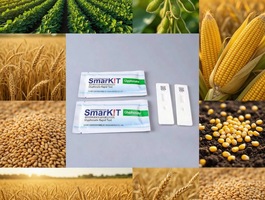 Aflatoxin test kits %2817%29