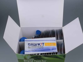 Aflatoxin test kits %2832%29
