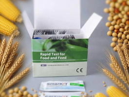 Aflatoxin test kits %2841%29