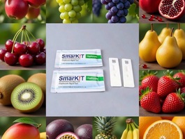 Aflatoxin test kits %2822%29