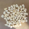 Img 20210824 wa0001