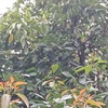 Img20220124120045