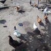 Tmp cam 1934430543892428509