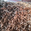 Img 20250212 wa0007