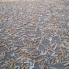 Img 20250212 wa0003