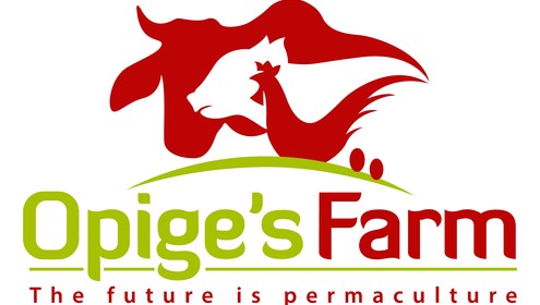 Opiges 2021