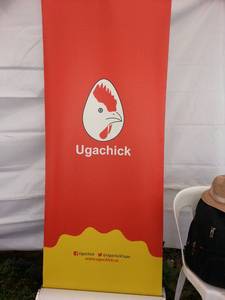 Ugachick