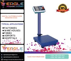 Flyer eagleplat4 08