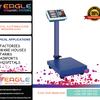 Flyer eagleplat4 08