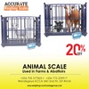 Animal scale 29