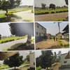 Whatsapp image 2020 02 12 at 11.48.37